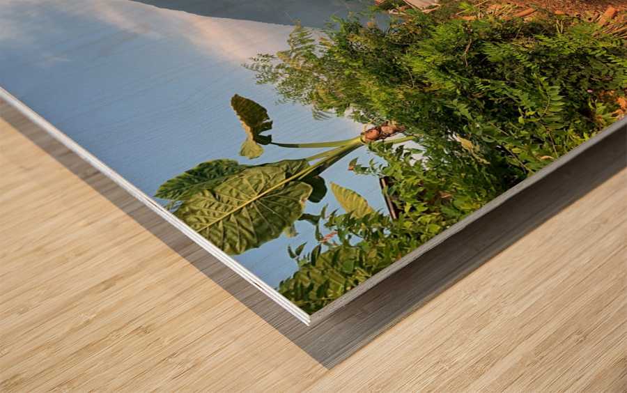 Follow The Road Impression sur bois