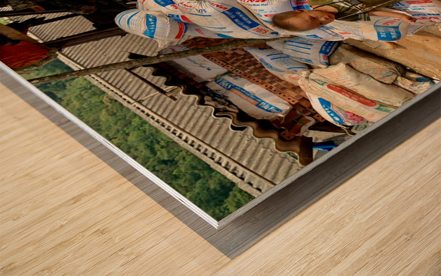 No One Will Touch These Bags Wood print