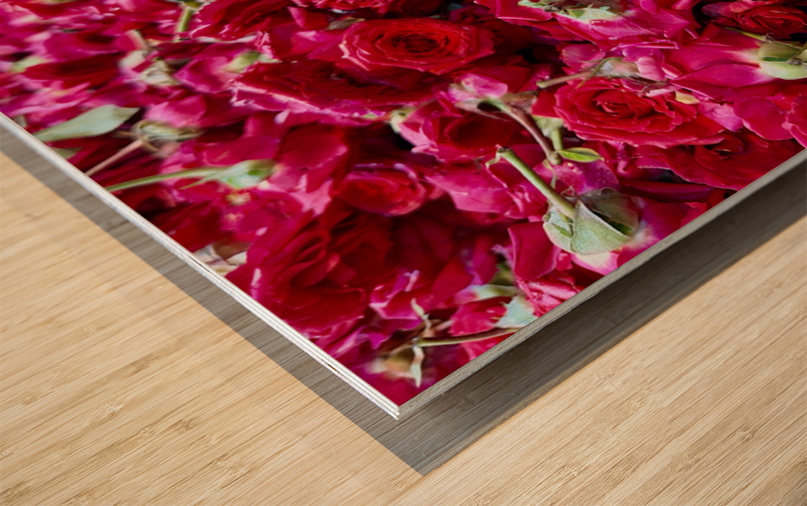 Many Roses Wood print