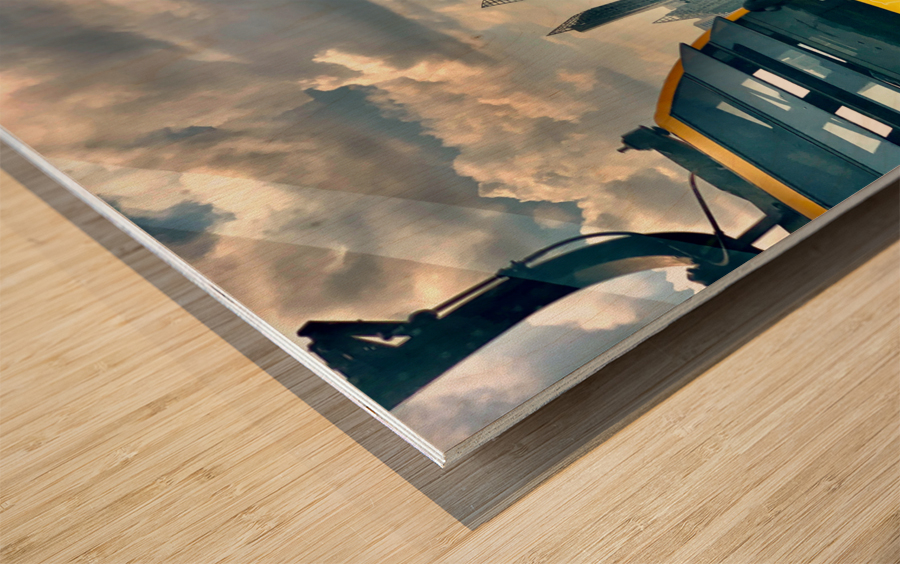 Look it s Singapore Wood print