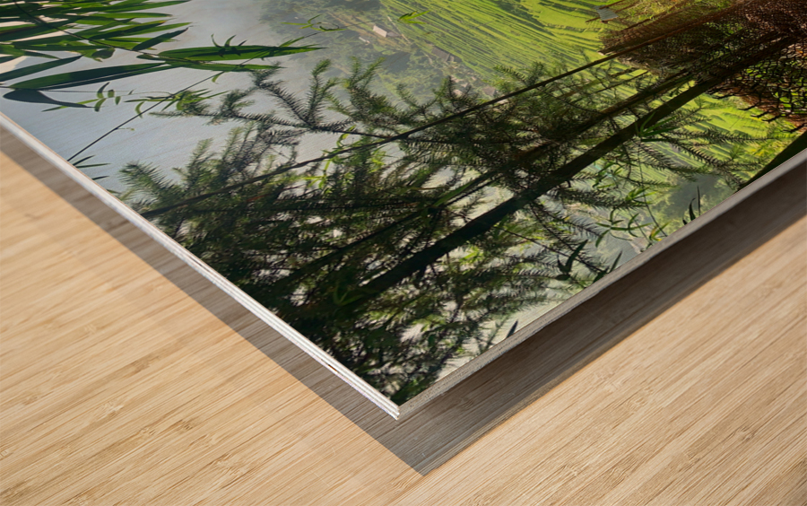 Enter the Rice Fields Wood print