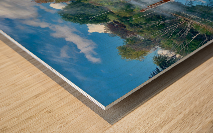 Mysterious Reflection Wood print