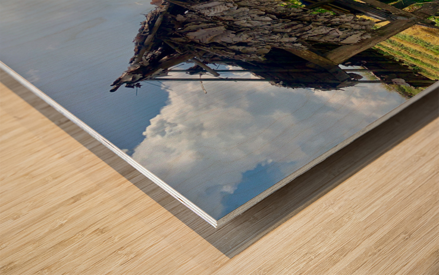 Shacks in the Rice Fields Wood print