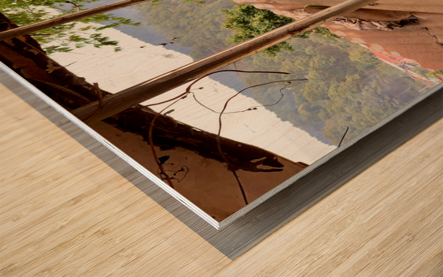 The Cat Living in the Ambulance Wood print