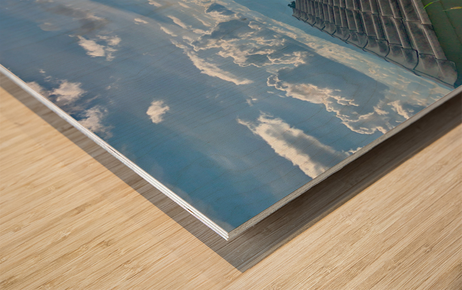 V Roof View Wood print