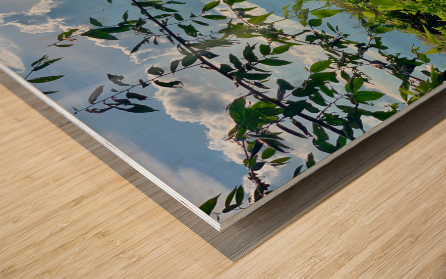 Working the Rice Fields Wood print