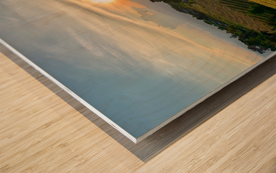 Sunset over the Rice Fields Wood print
