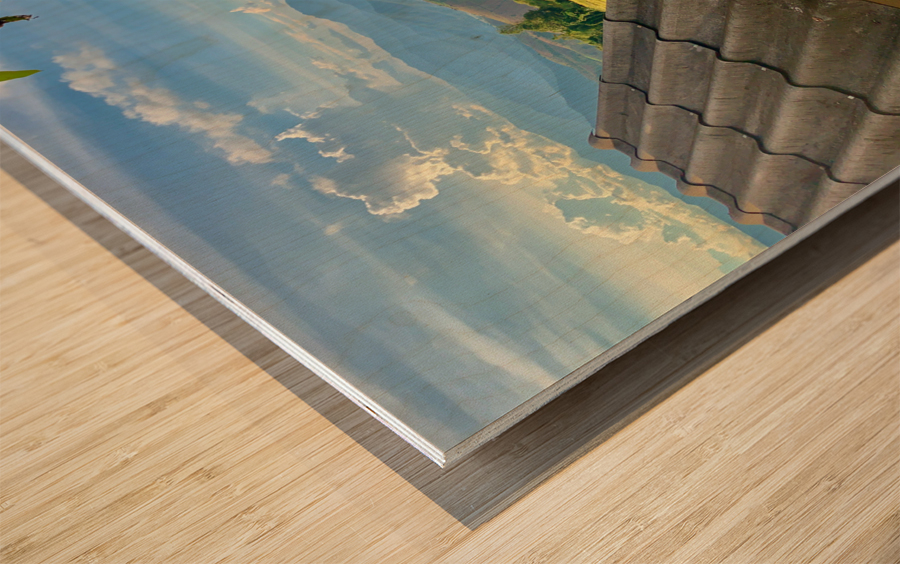 Rice Fields Village Wood print