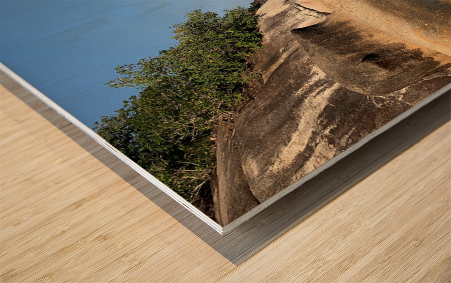 Rocks on the Beach Wood print