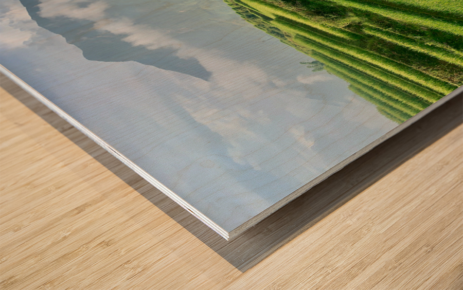 Rice Fields Going Down Wood print