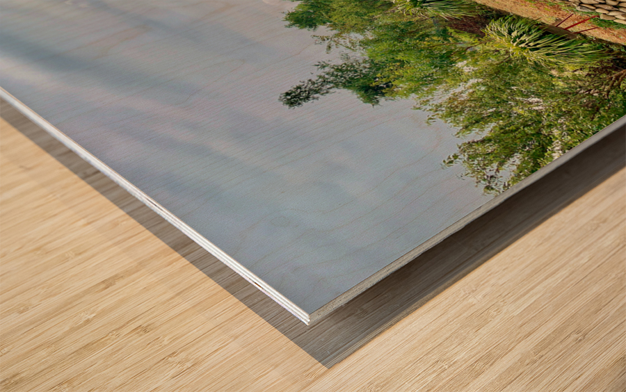 Plant Pots on a Stand Wood print