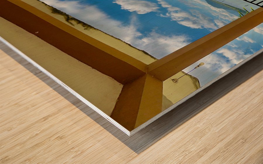 Cat Eating with a View Wood print