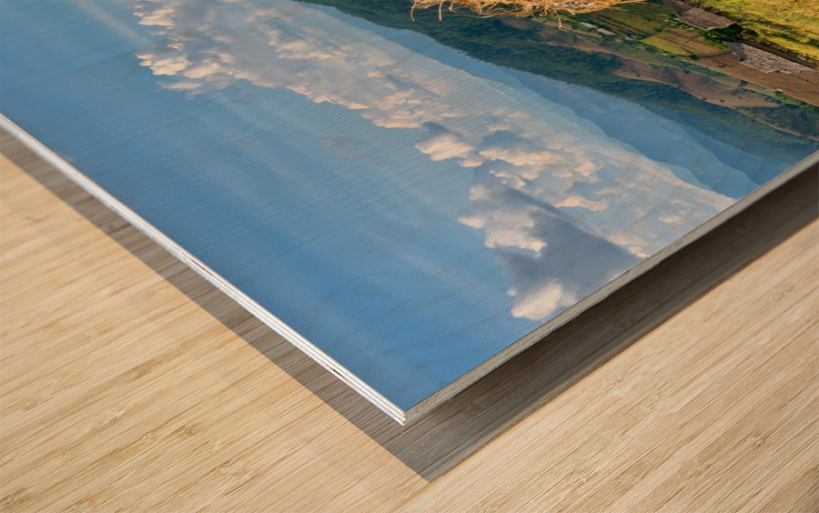 Behind the Rice Wood print