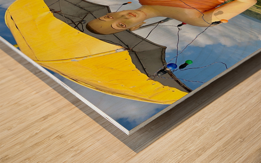 Buddha Under the Umbrella Wood print