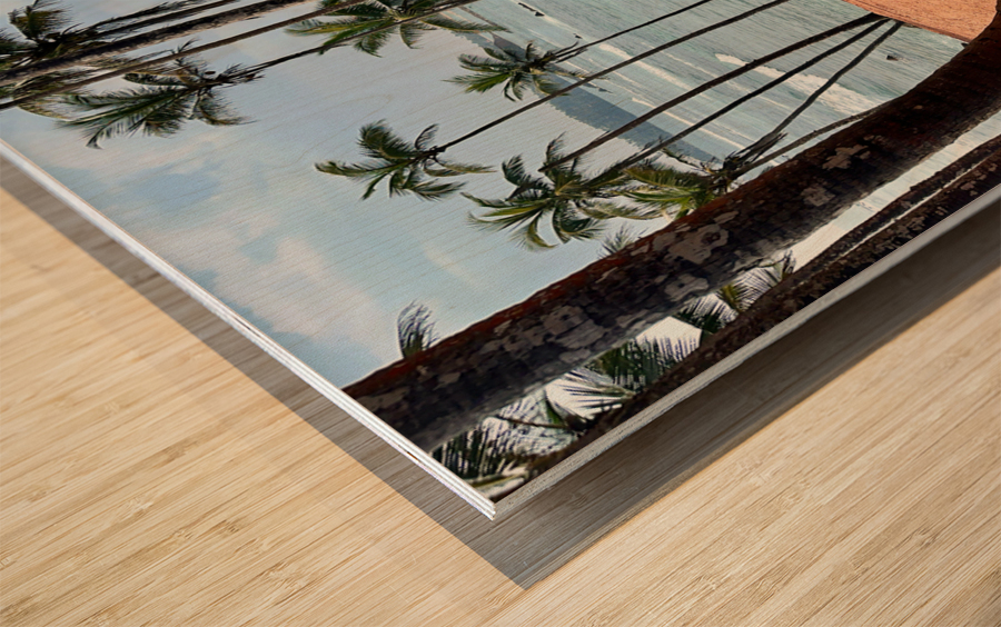 Coconut Hill Wood print