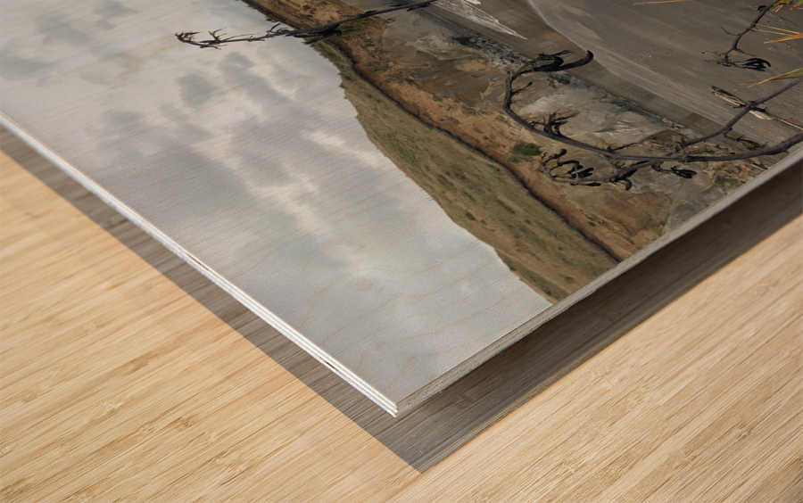 Black Sand on the Coast 2 Wood print