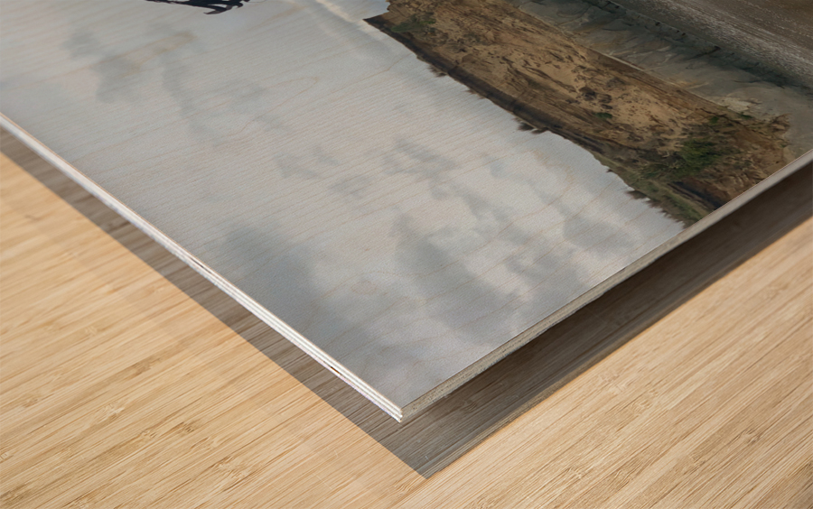 Black Sand on the Coast Wood print