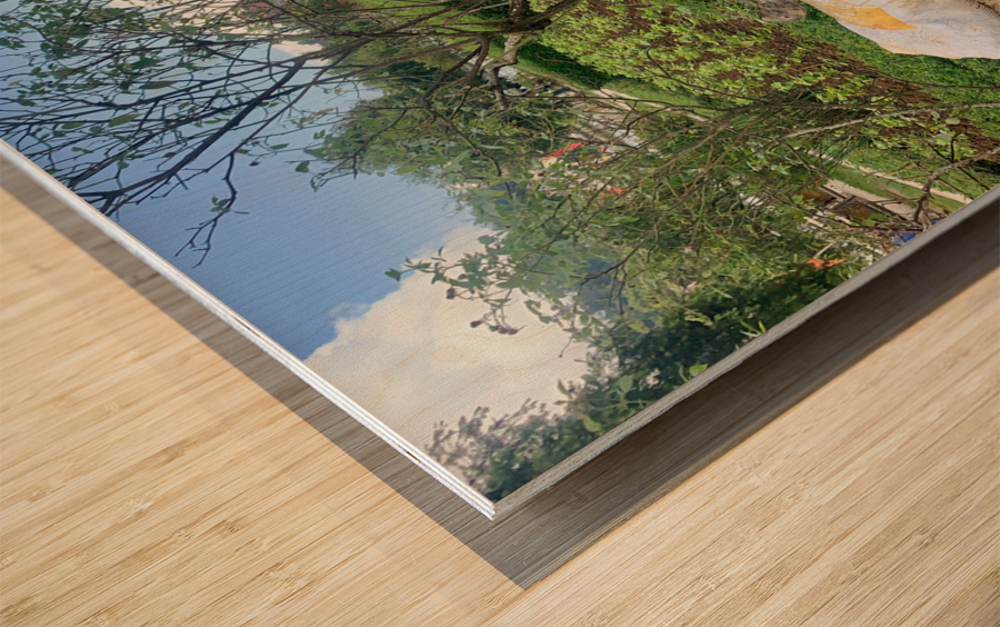 Lets Clean the Park Wood print