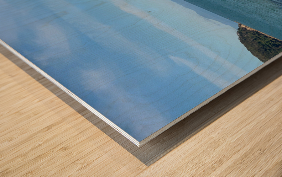 Fast Boat From the Beach Wood print