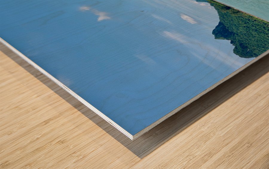 Flat in Between Wood print