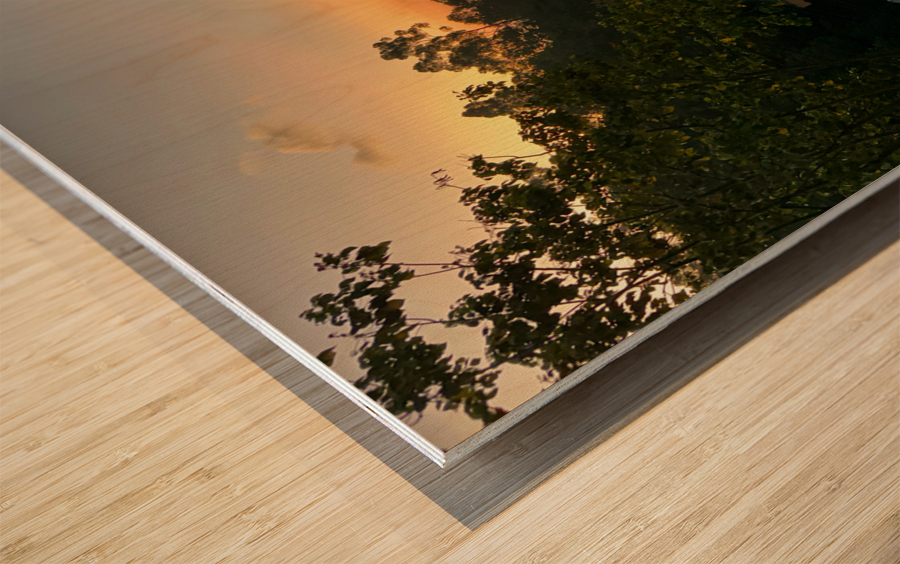 Good Night Ella Wood print