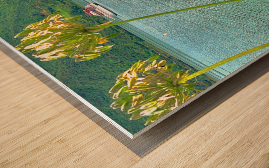 Empty Boat on the Lake Wood print