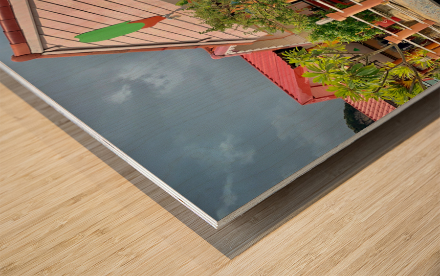 James Bond Bungalow Wood print