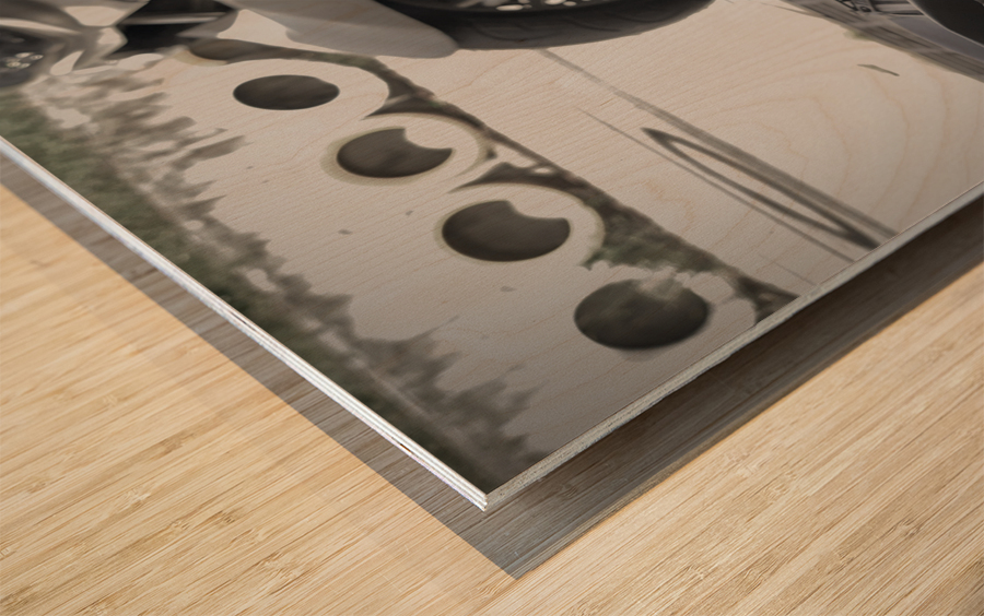 I Closed my Eyes Again   Cat Wood print