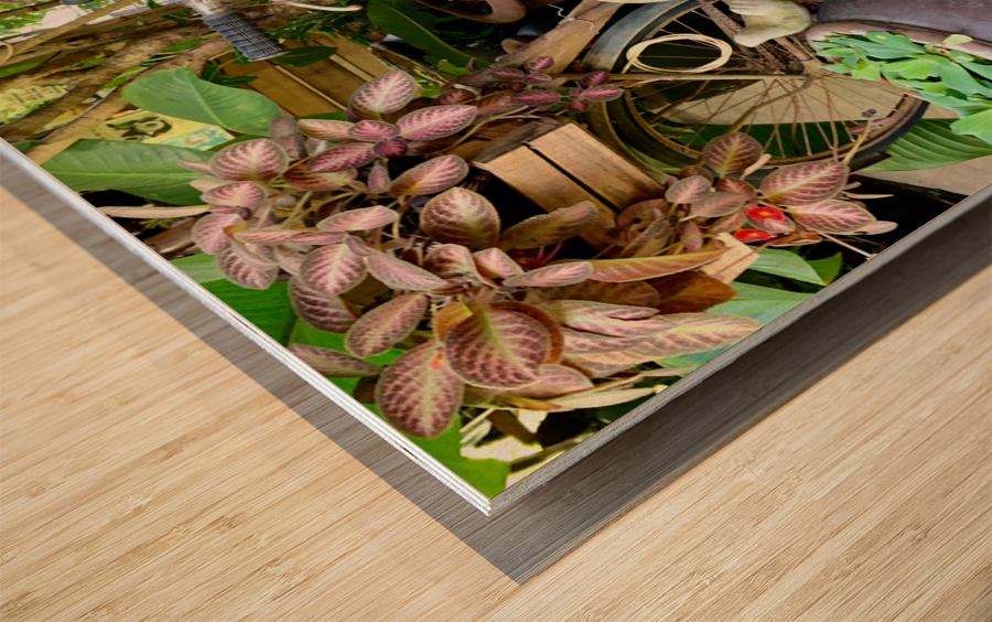 Espresso Bike Wood print