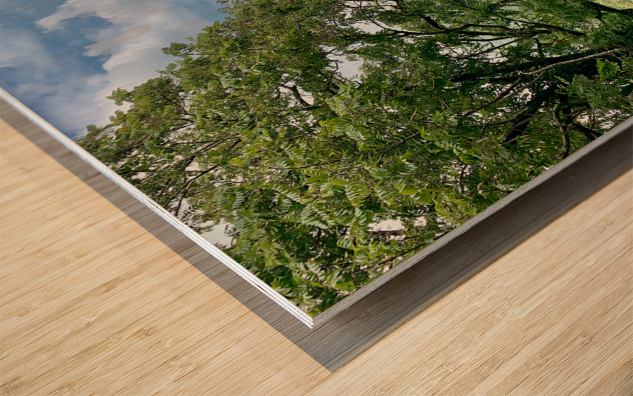 Jungle View Wood print