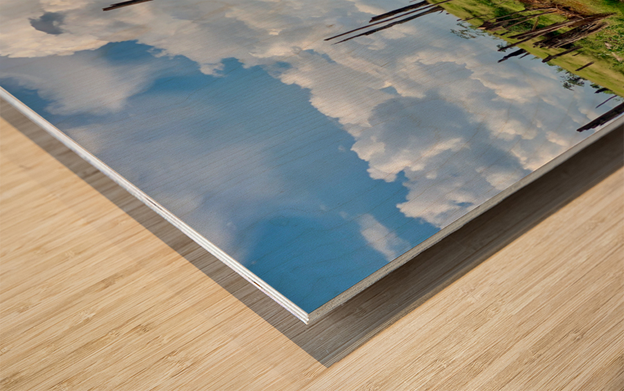 Field of Broken Trees Wood print