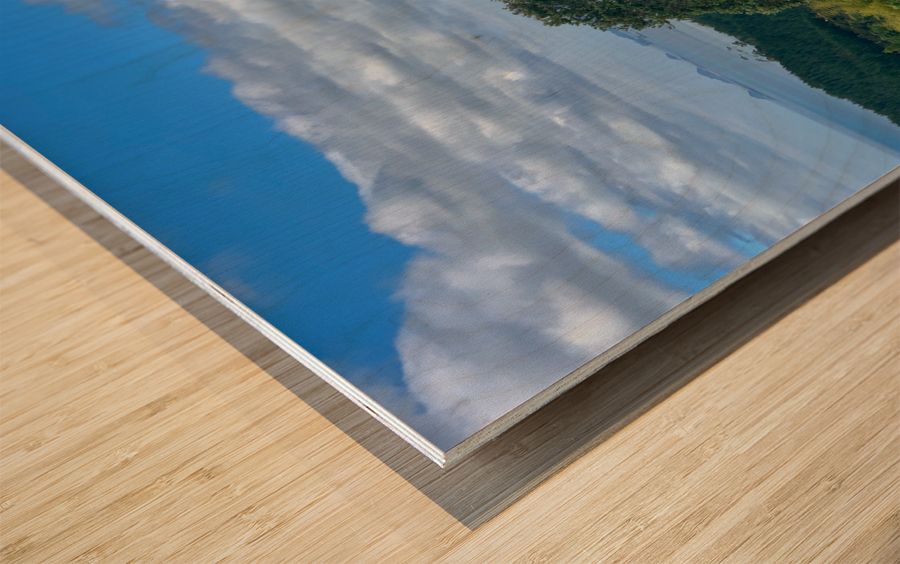 Nice View Down There Wood print