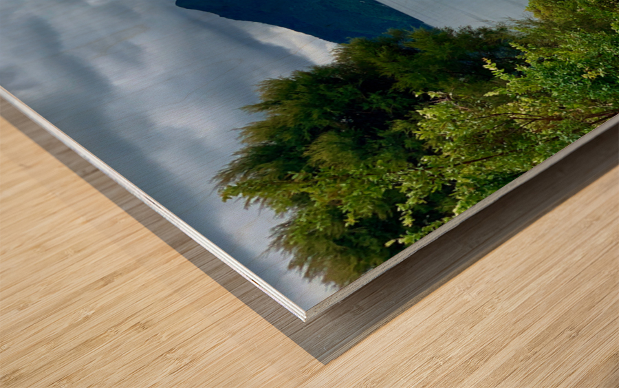 Sit with me 2 Wood print