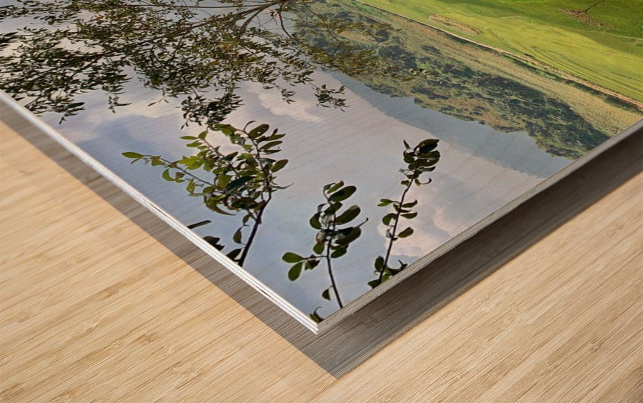 Little House by the Rice Fields Wood print