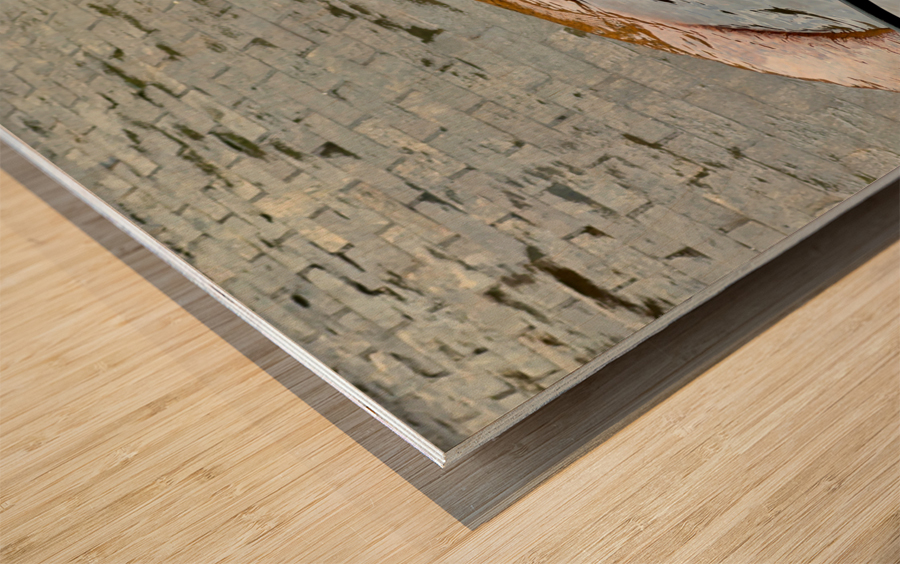 Sri Lankan Holy Water Impression sur bois