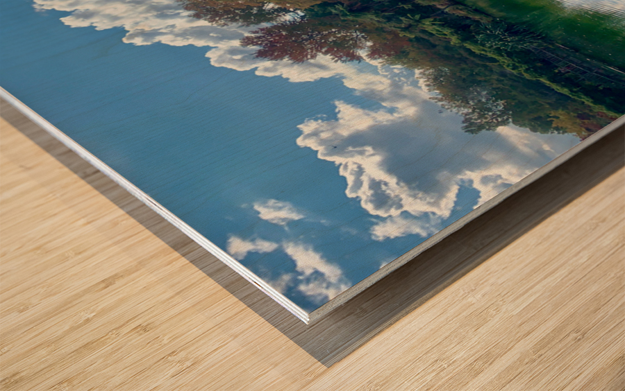 Nature s Own Reflection Wood print