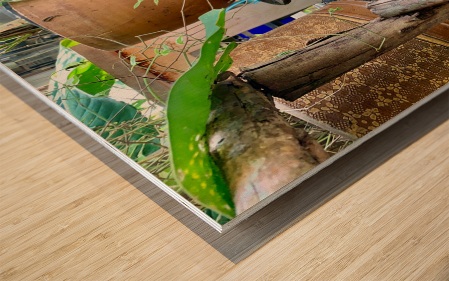 Transparent Boots Wood print