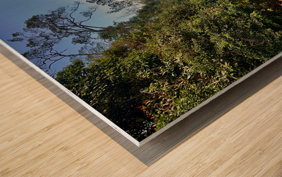 The Fisherman Impression sur bois