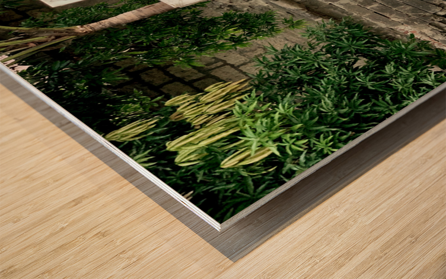 The Cross Wood print