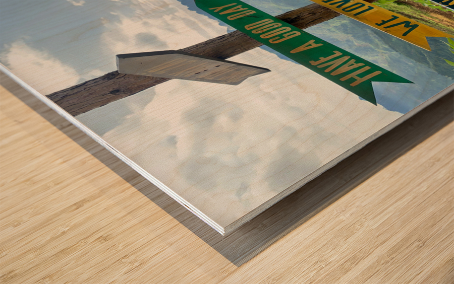 Which Way To Go Wood print