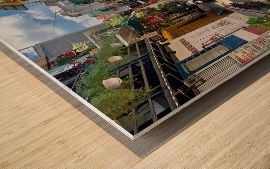 Train Street Hanoi Wood print