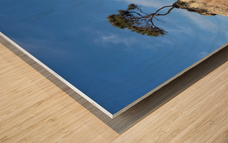 Tree Over The Rock Wood print