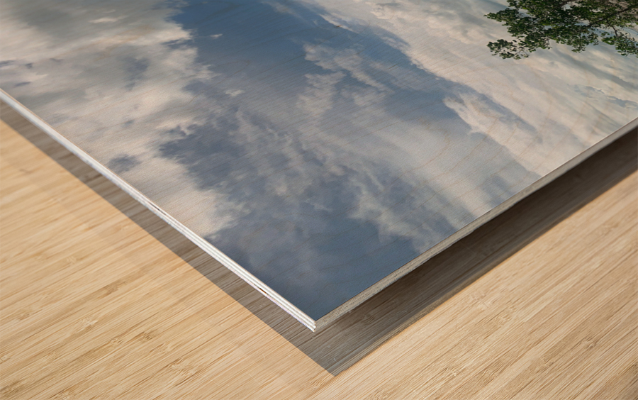 The Tree Impression sur bois