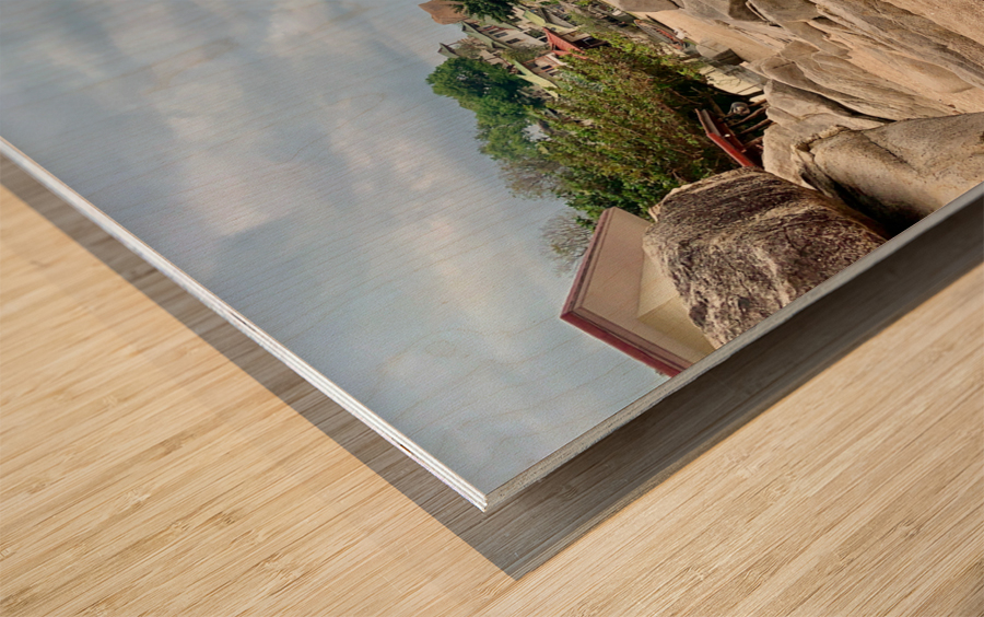 Big Rock on the Beach Wood print