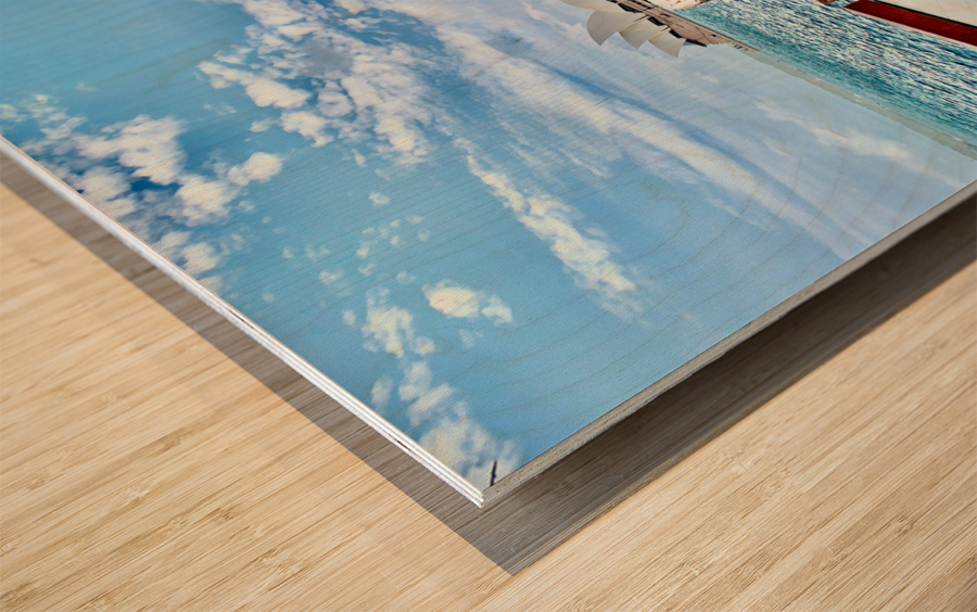 Boat Cruise in Sydney Harbour Wood print