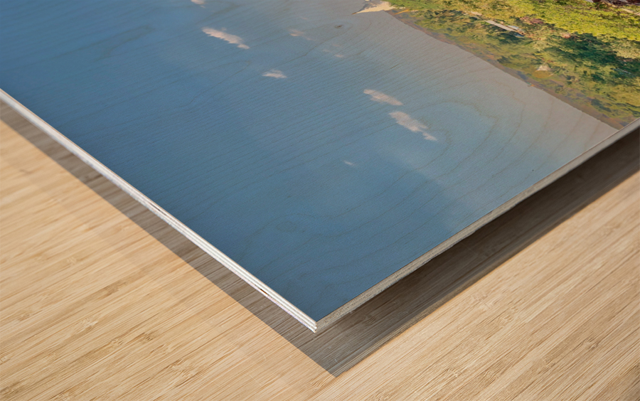 Downward Facing Dog Wood print