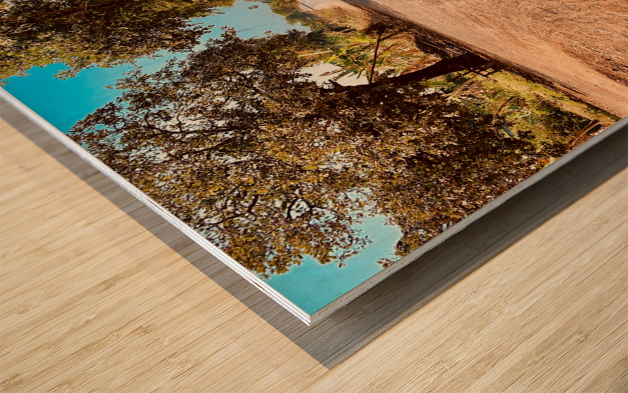 Follow the Dirt Road Wood print