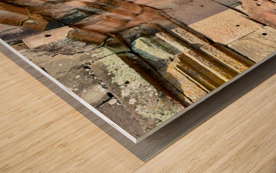 Birds in Historical Site Wood print