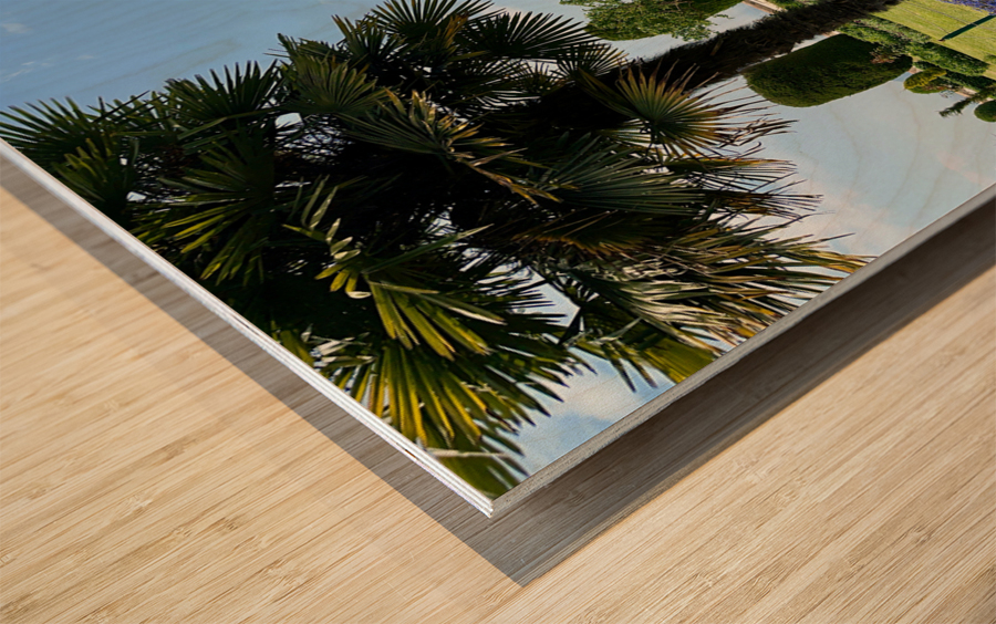 Garden in the Sky Wood print