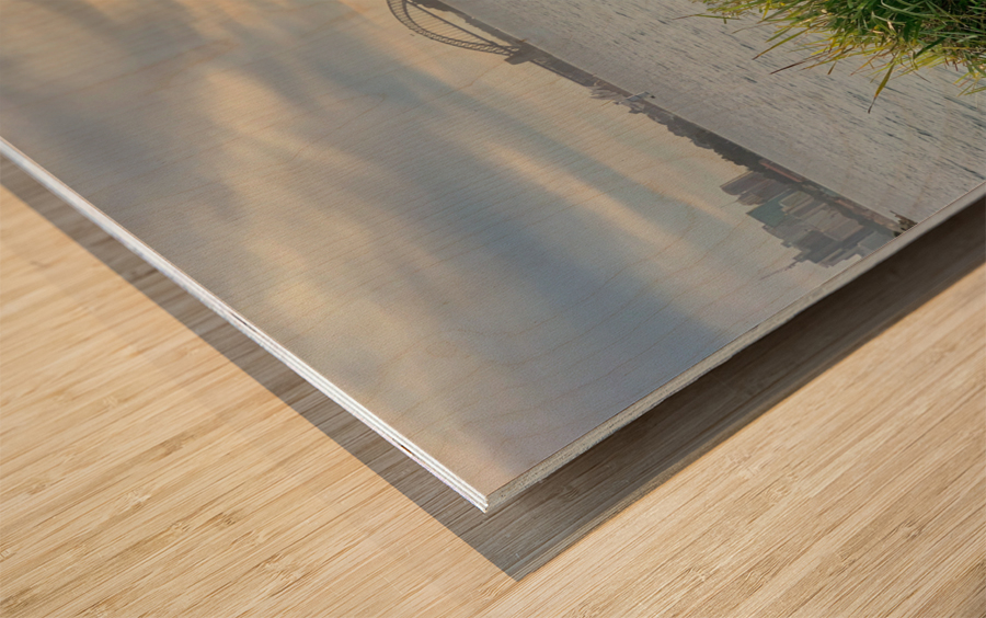 Bird Looking at the Bridge Wood print